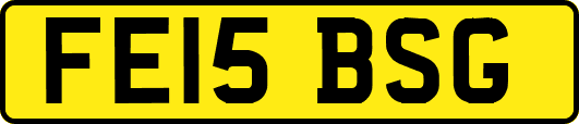 FE15BSG