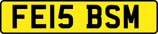 FE15BSM