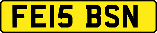 FE15BSN