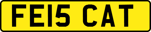 FE15CAT