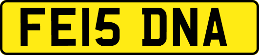 FE15DNA