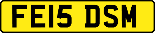 FE15DSM