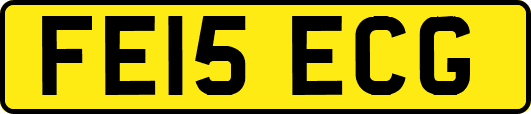 FE15ECG
