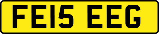 FE15EEG