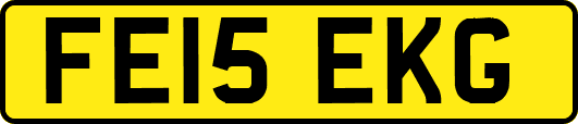 FE15EKG