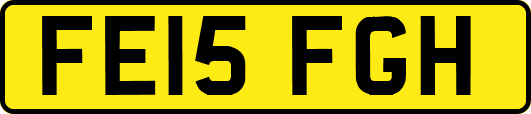 FE15FGH