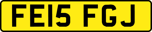 FE15FGJ