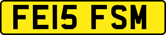 FE15FSM