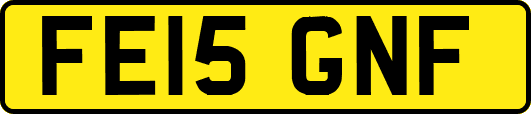 FE15GNF