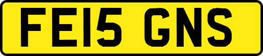 FE15GNS