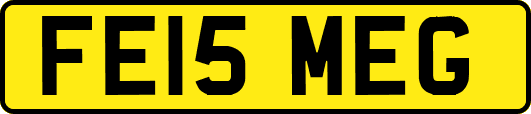 FE15MEG