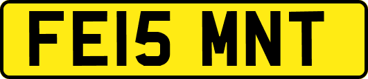 FE15MNT