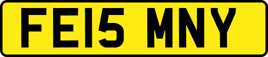 FE15MNY