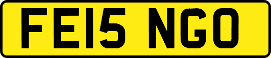FE15NGO