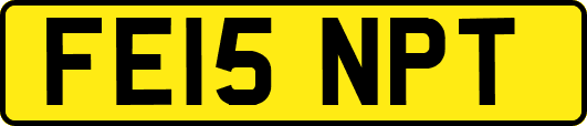 FE15NPT