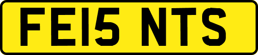FE15NTS