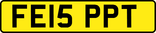 FE15PPT