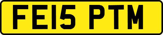 FE15PTM