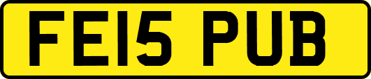 FE15PUB