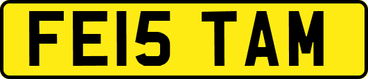 FE15TAM