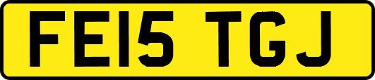 FE15TGJ