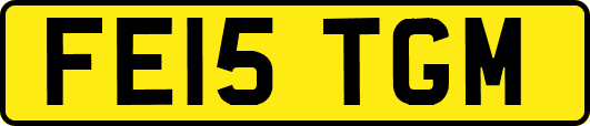 FE15TGM