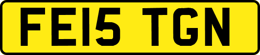 FE15TGN