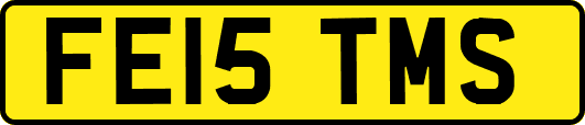 FE15TMS