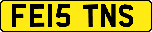 FE15TNS