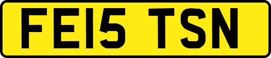 FE15TSN
