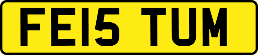FE15TUM