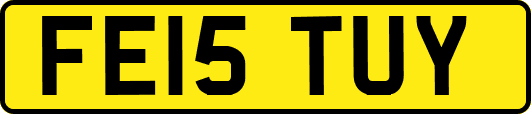 FE15TUY