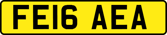FE16AEA