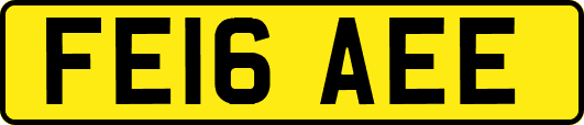 FE16AEE