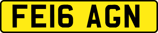 FE16AGN