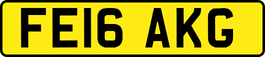 FE16AKG
