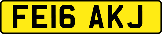 FE16AKJ