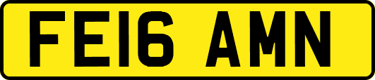 FE16AMN