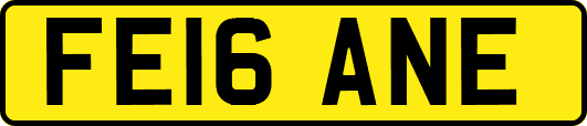 FE16ANE