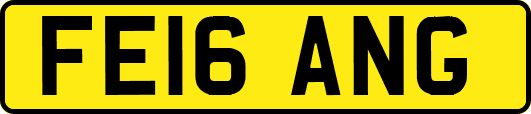 FE16ANG