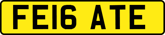 FE16ATE