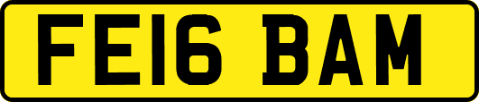 FE16BAM