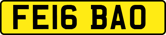 FE16BAO
