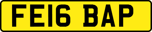 FE16BAP