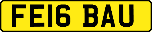 FE16BAU