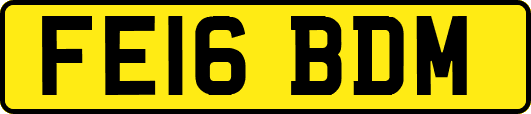 FE16BDM