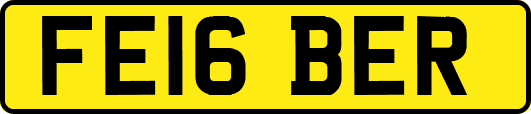FE16BER