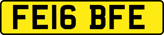 FE16BFE