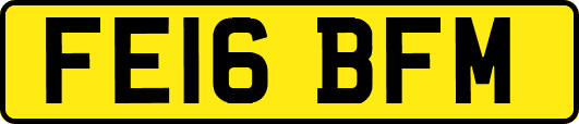 FE16BFM