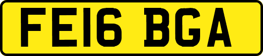 FE16BGA